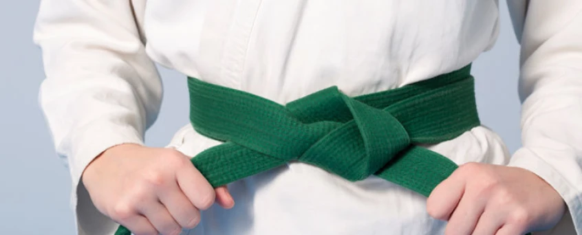 Six Sigma | Yellow & Green Belt Combo