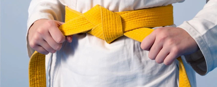 Six Sigma | White & Yellow Belt Combo