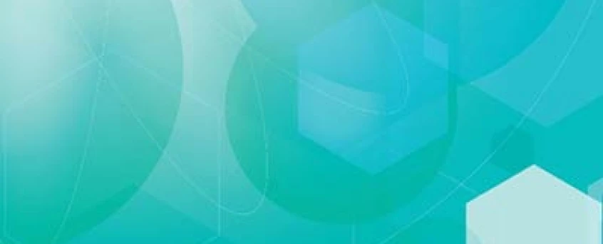 ITIL 4 Specialist: Drive Stakeholder Value