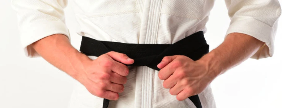 Six Sigma | Green & Black Belt Combo