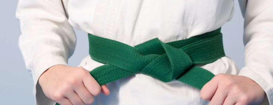 Six Sigma | Yellow & Green Belt Combo