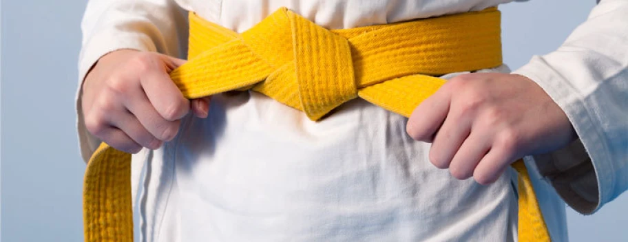 Six Sigma | White & Yellow Belt Combo